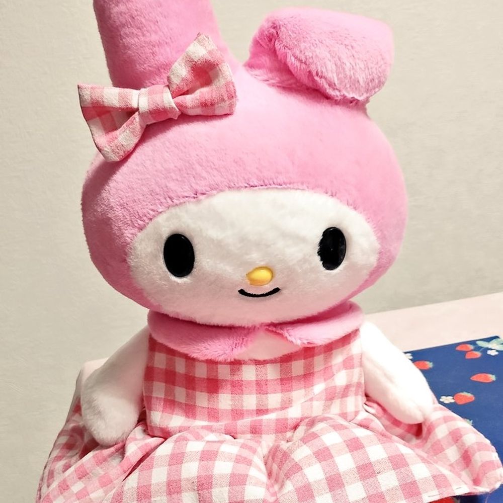 めろてゃ💗🐰🤍
