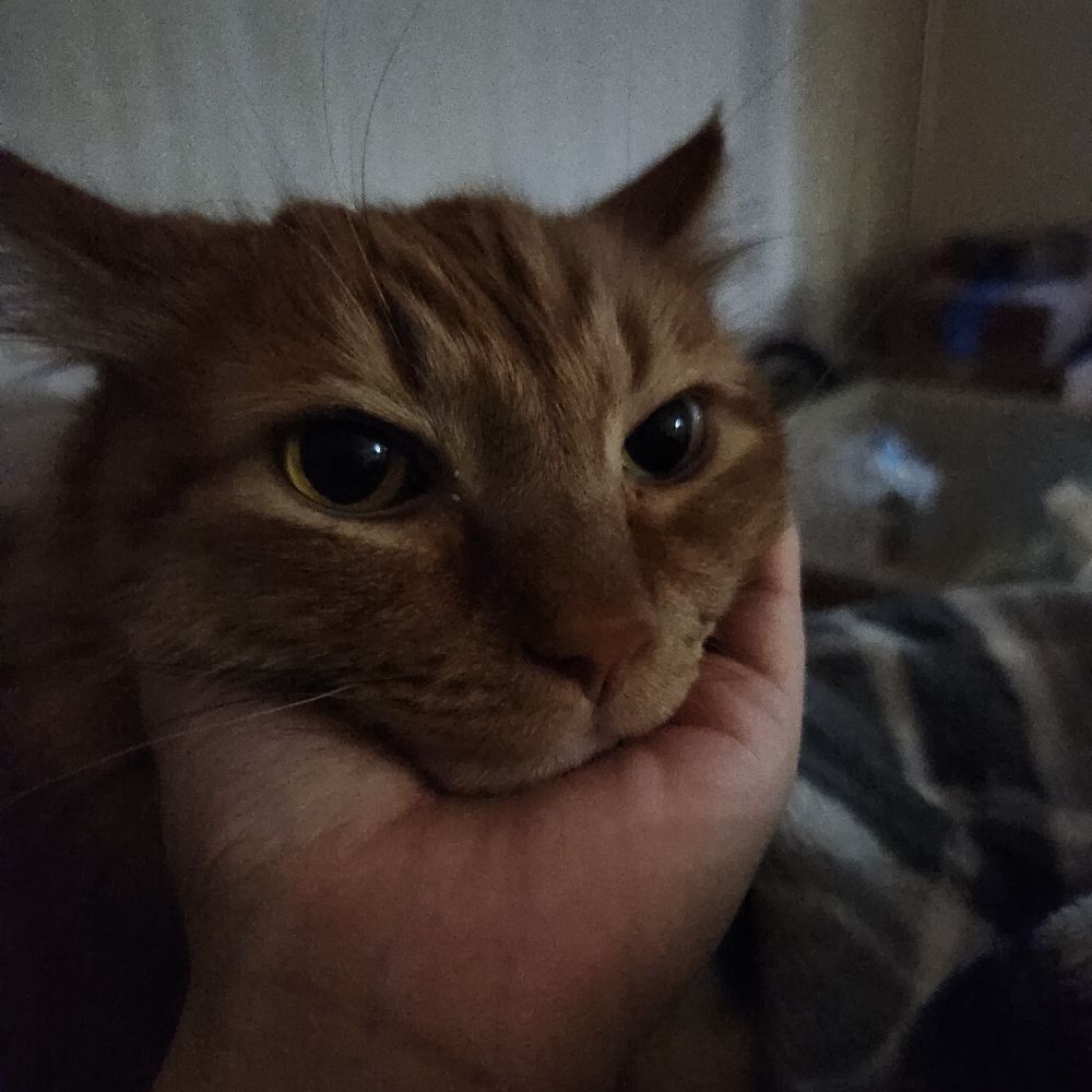 lucy