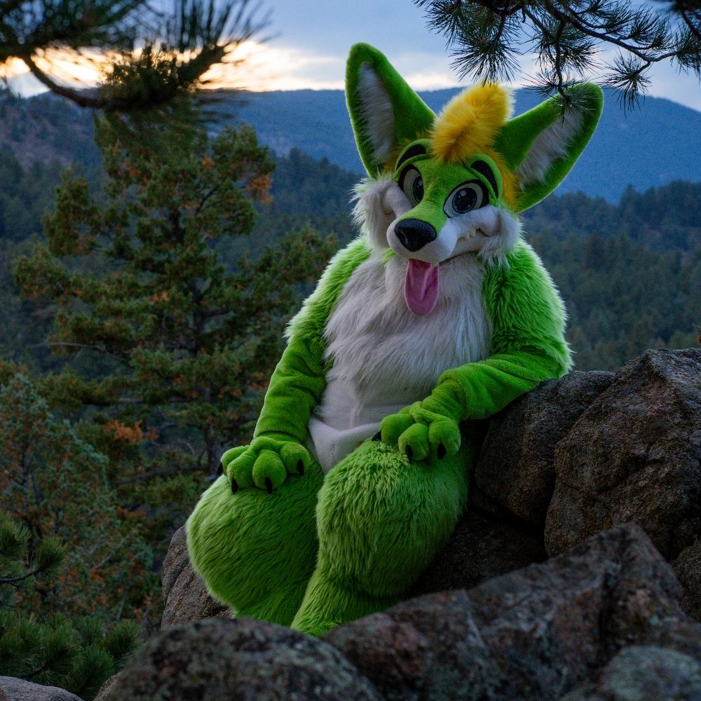 Ascari Husky ✈️ ANTHROCON then Colorado (again)