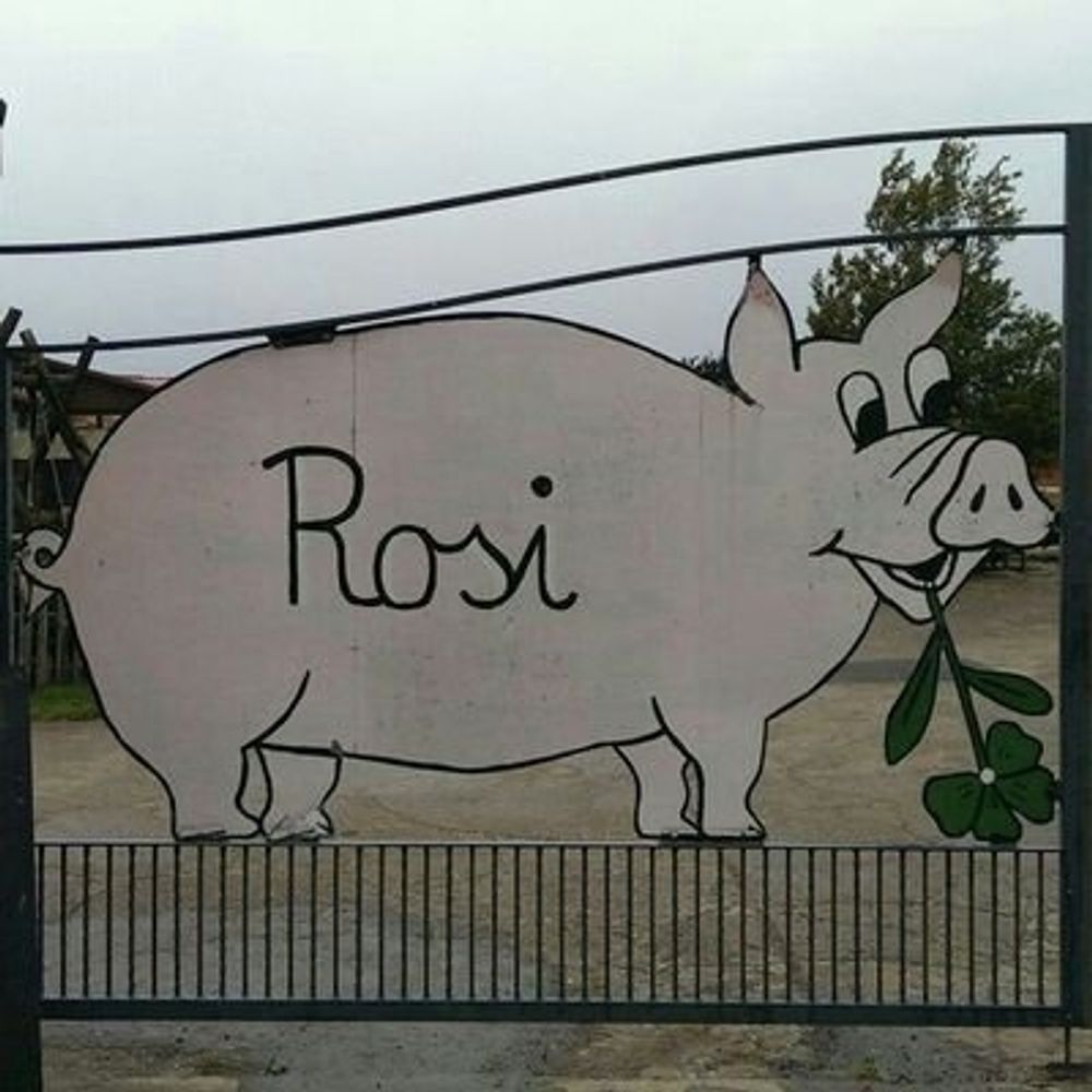 Rosi
