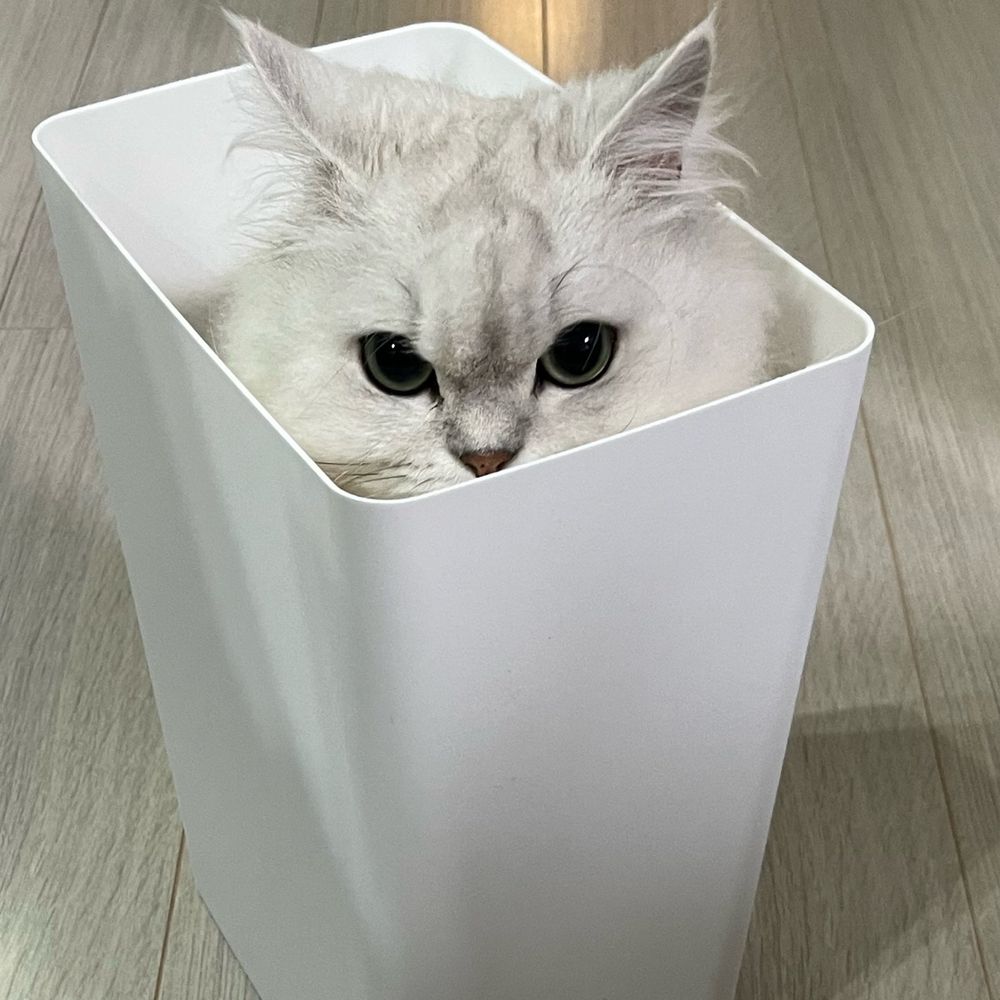 むたん