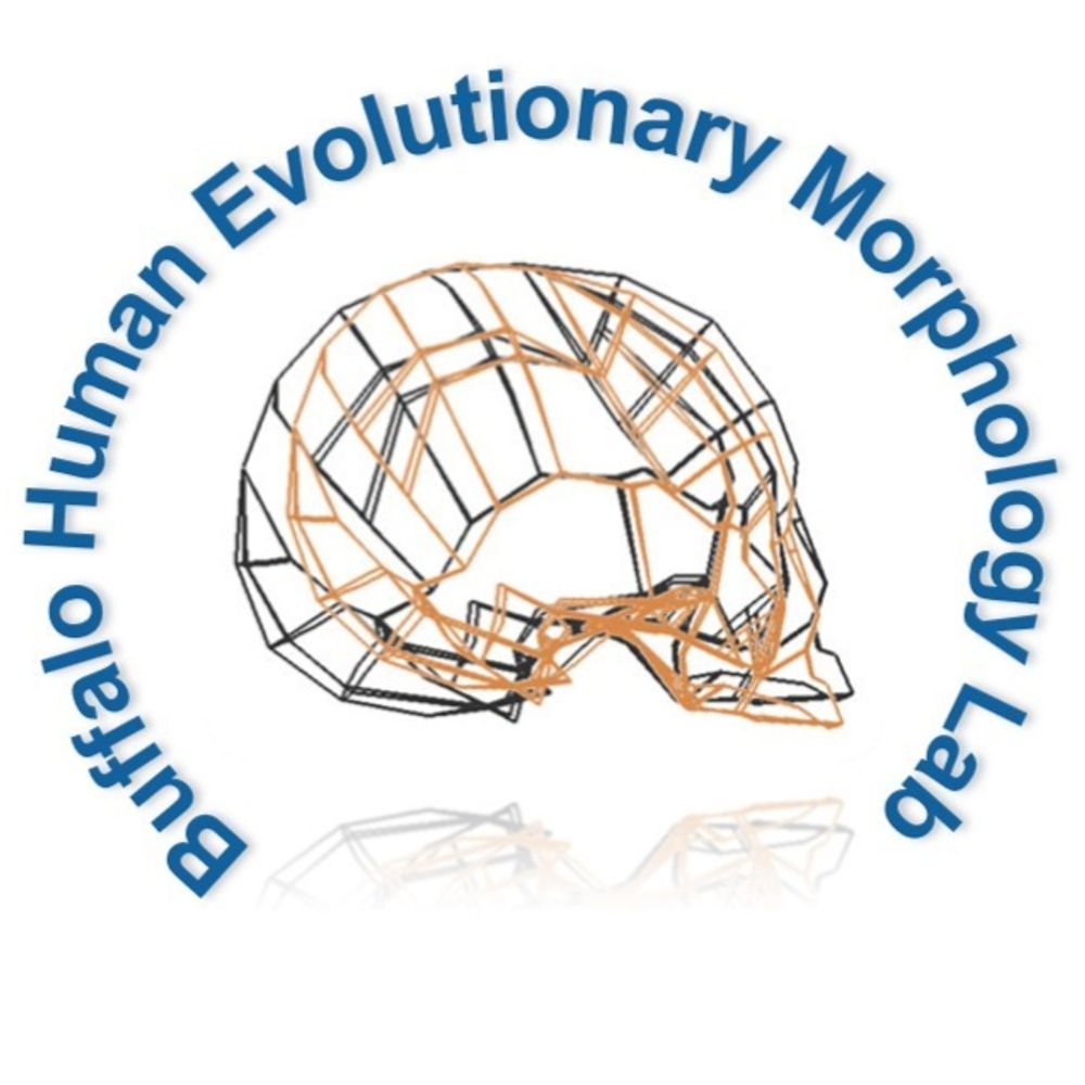 Buffalo Human Evolutionary Morphology Lab (BHEML)