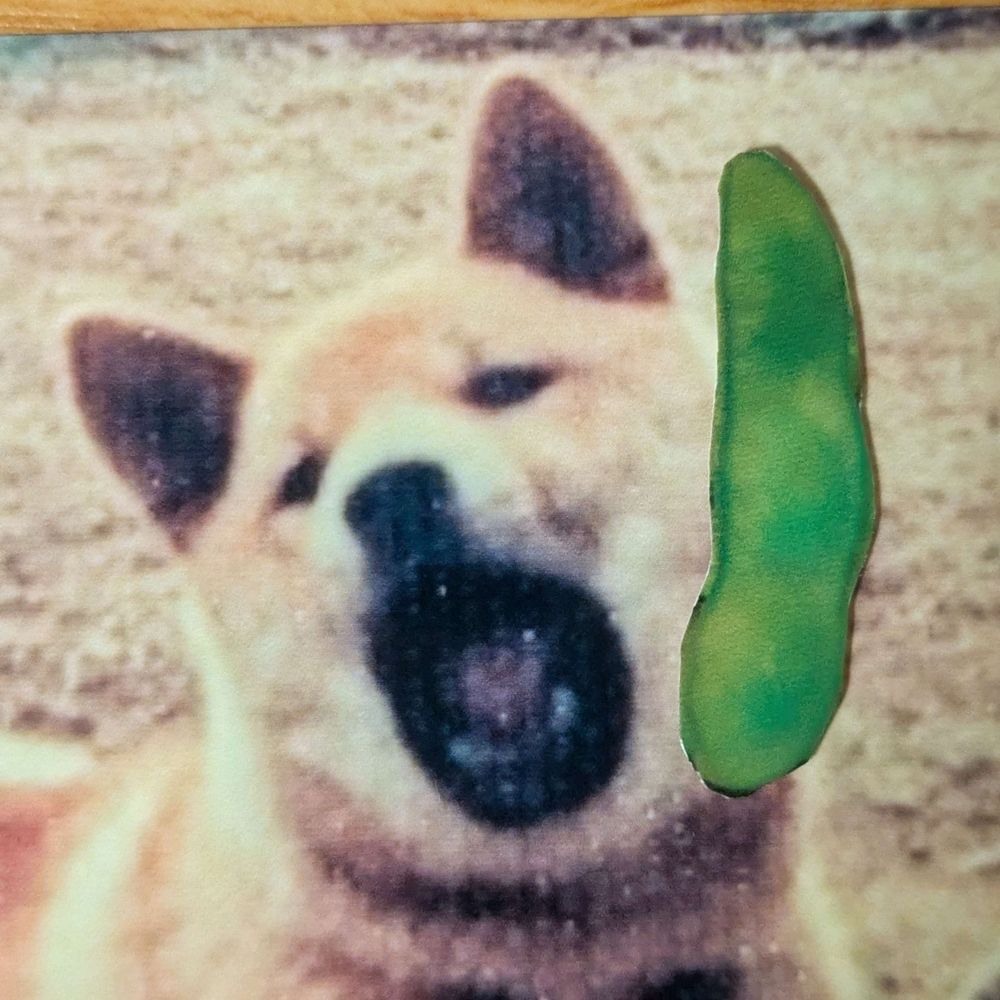 えだ まめる