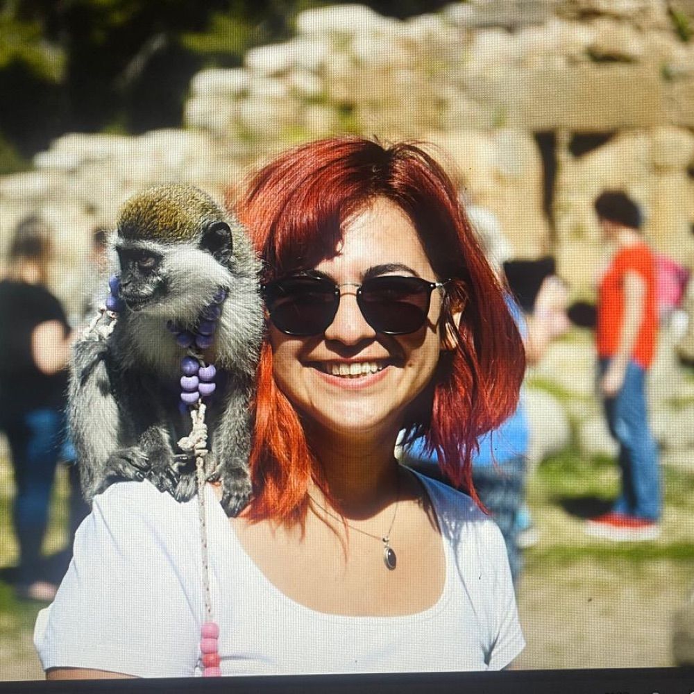 pinariko.bsky.social