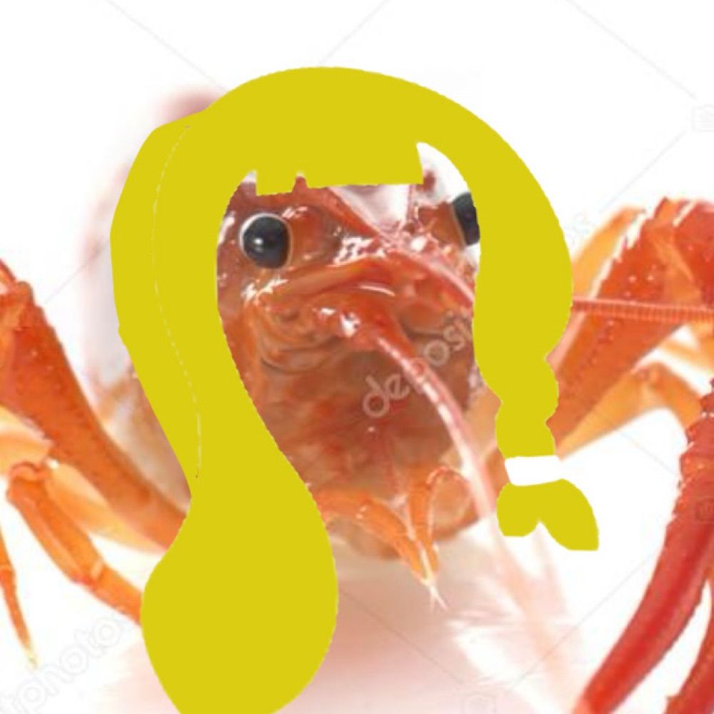 NEO .ᐟ