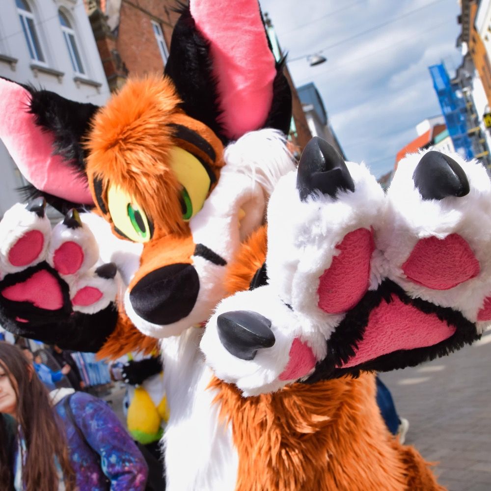 AkiFox