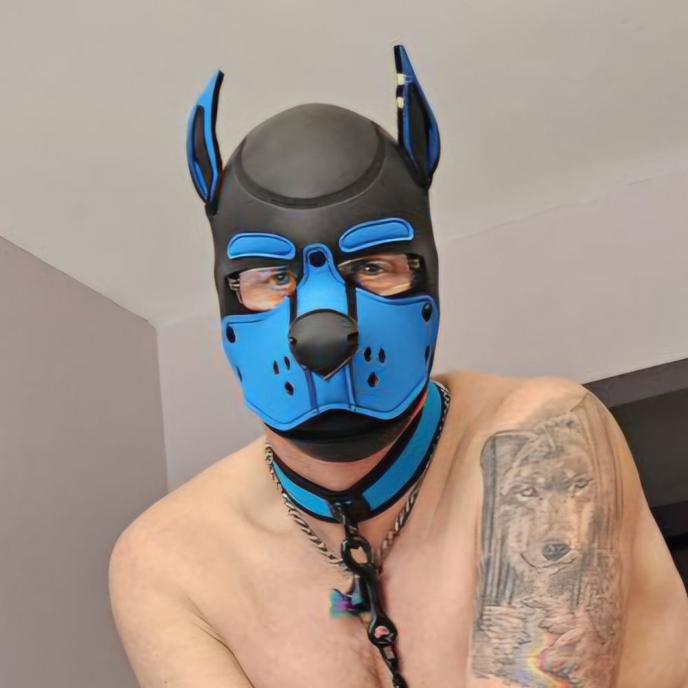 Twitches/Pup Flash