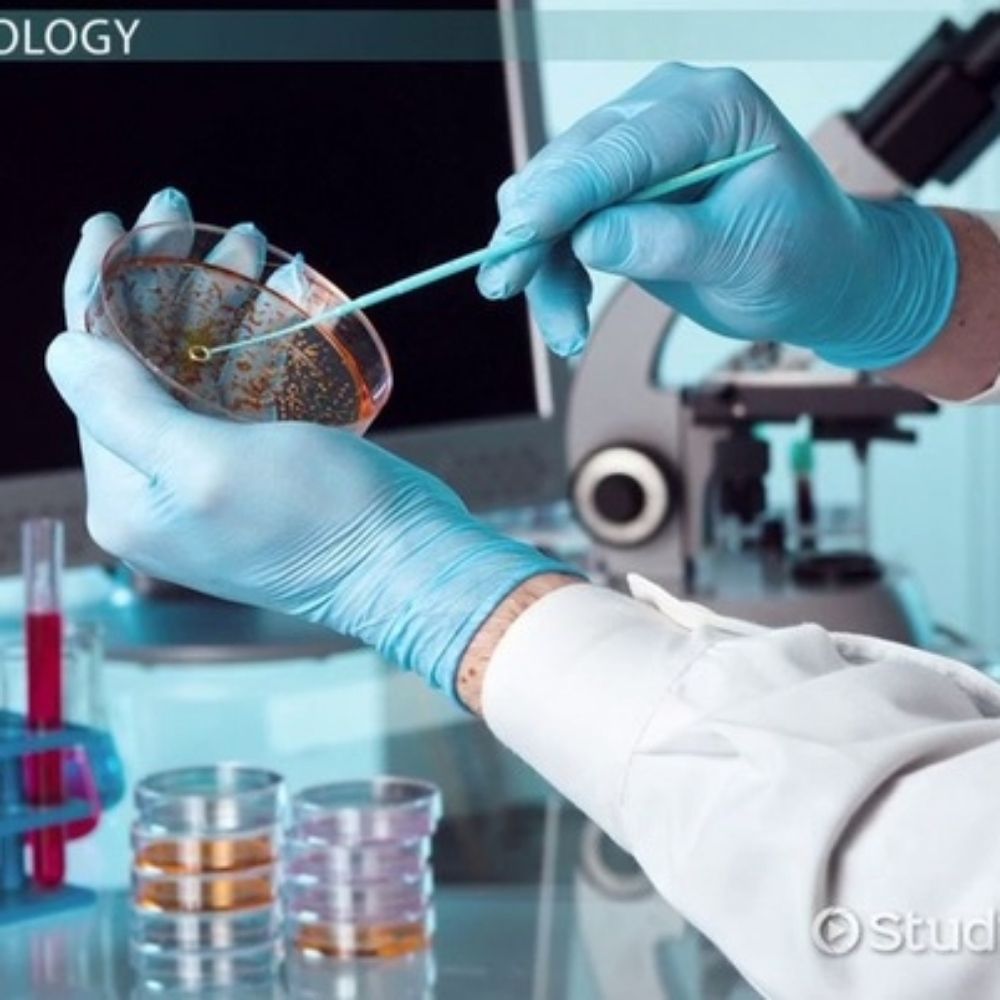 Alt Microbiology Department