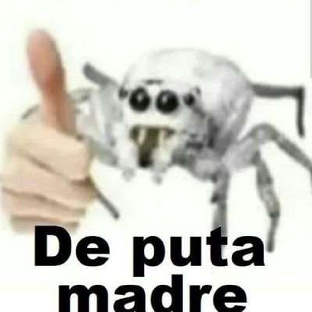 La lucidificadora🏳️‍⚧️