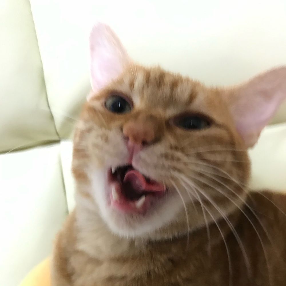 ぬおーろっく