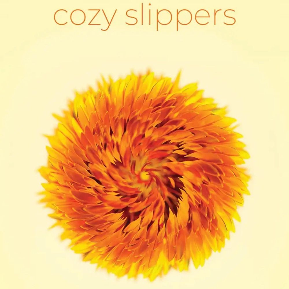 Profile picture cozyslippers.bsky.social