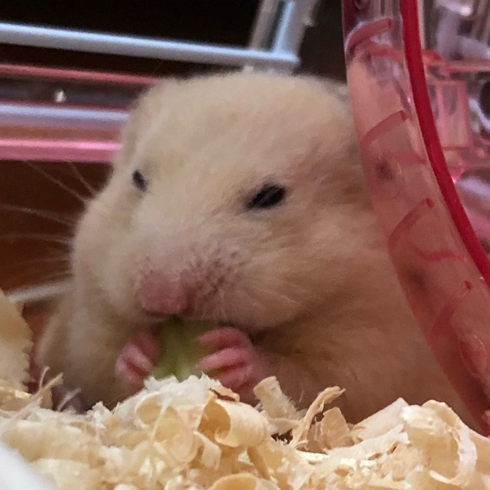 てぃふぁ