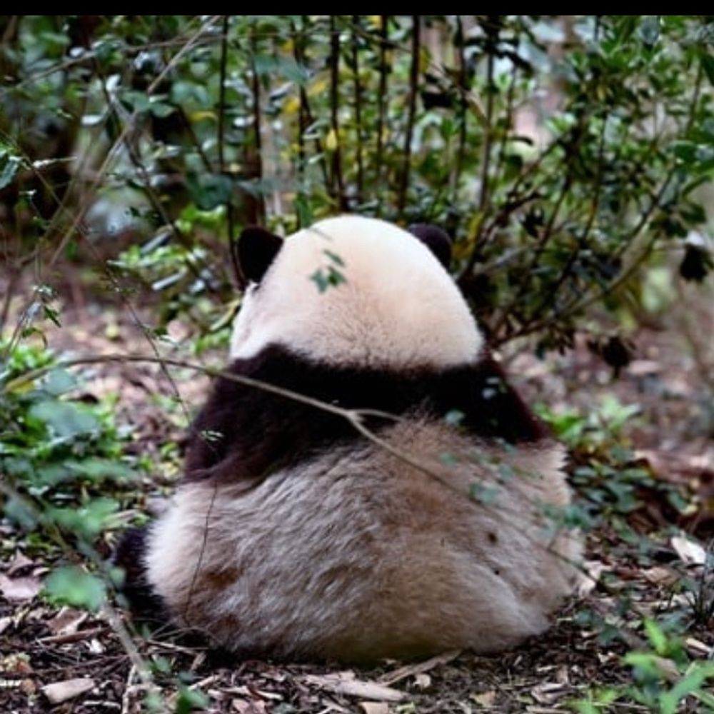 엘리