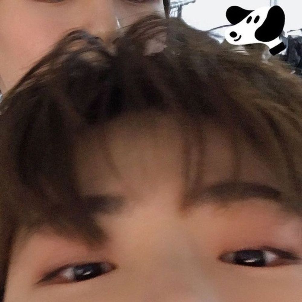 wooisjeongwho