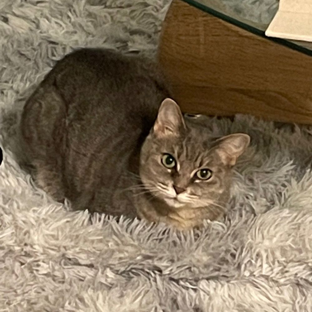 よしはる