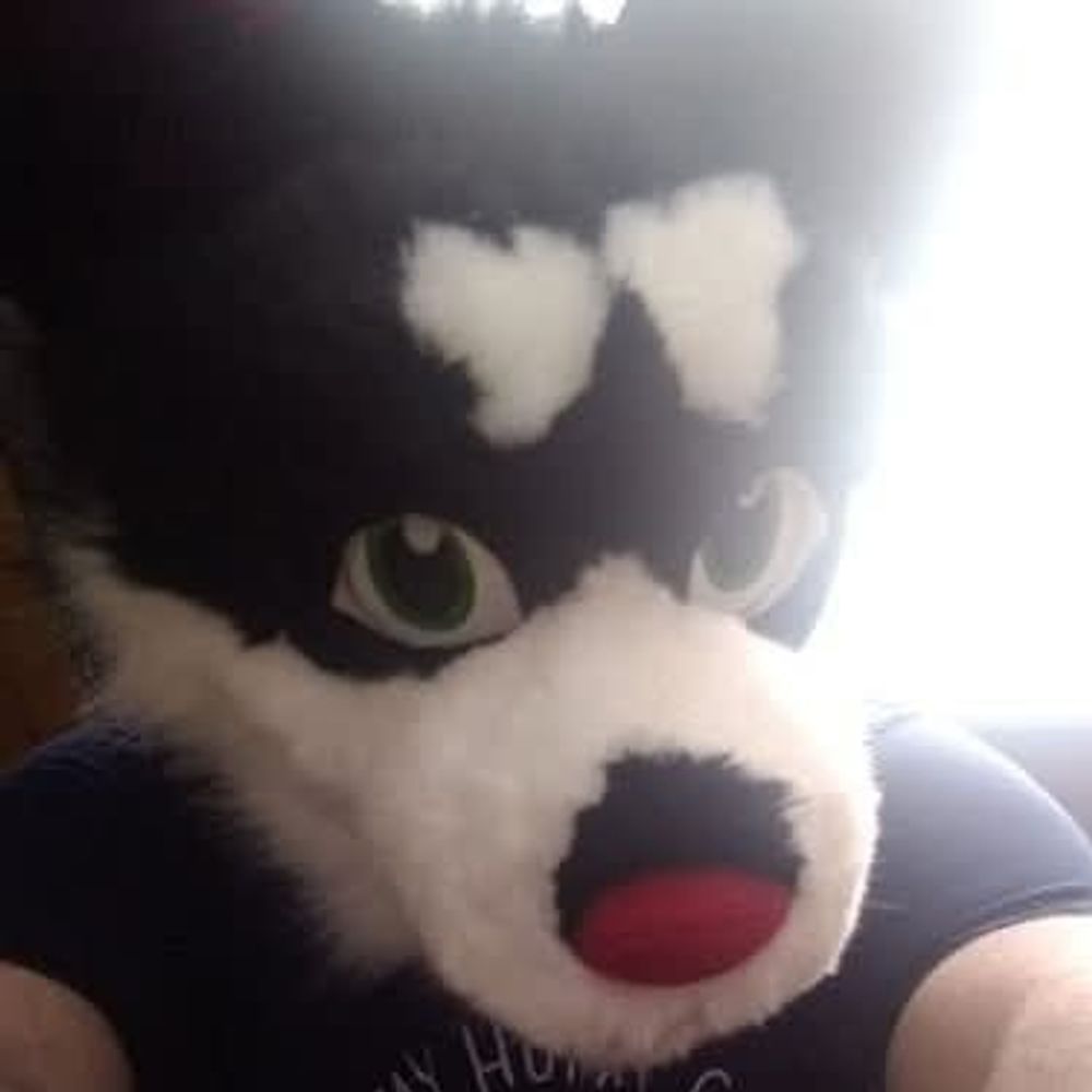 Dr pupper