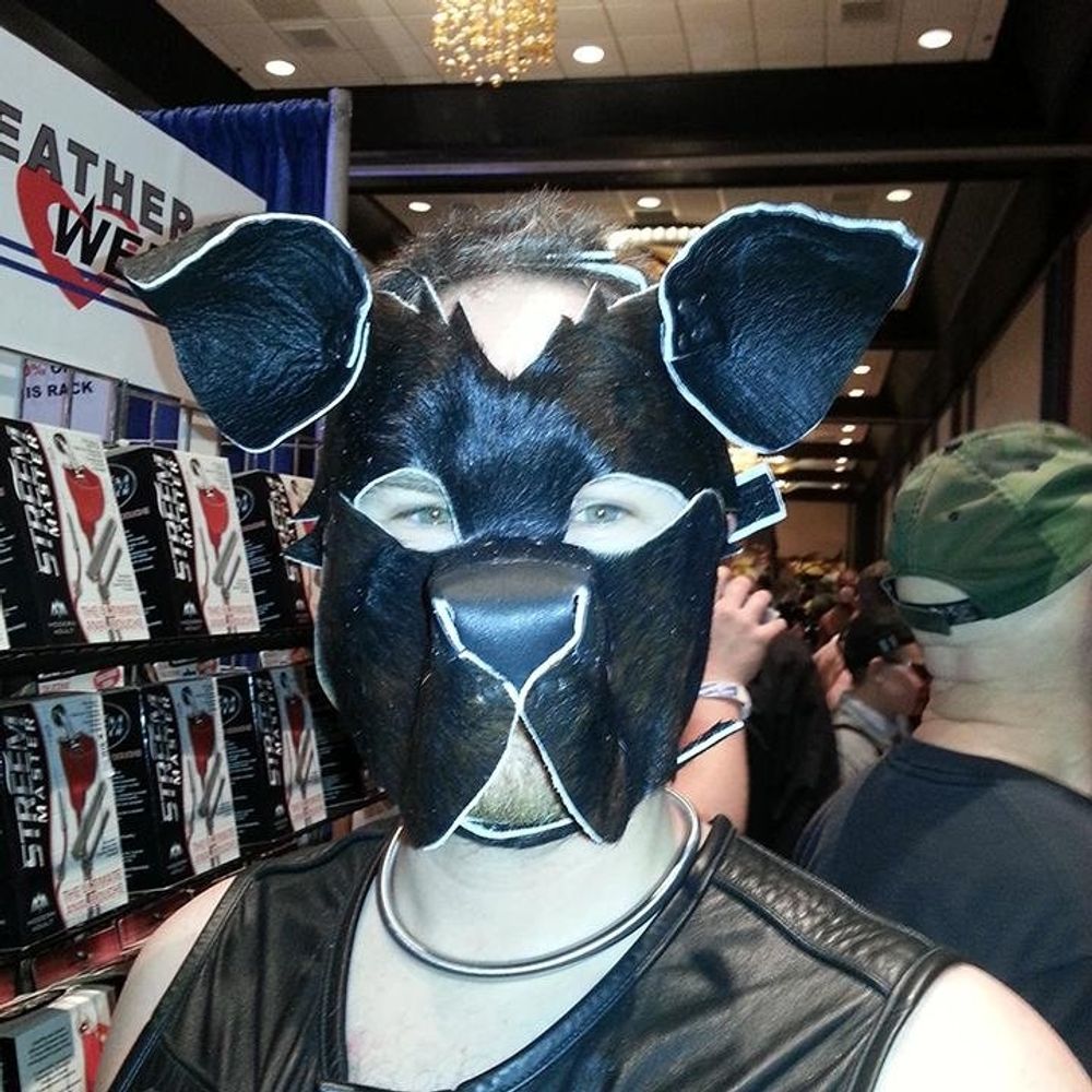 Pup Stitch 