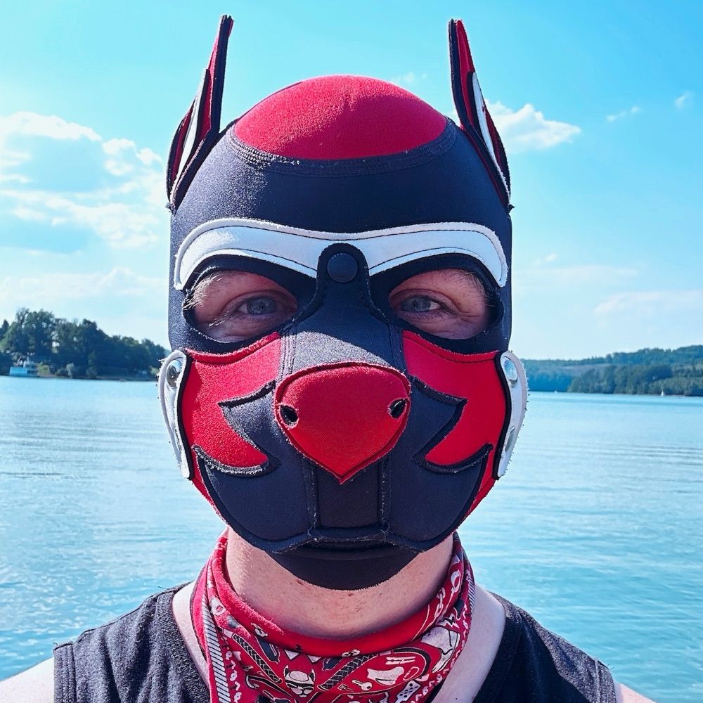 Pup Troy - Red Nosed Husky (SFW)