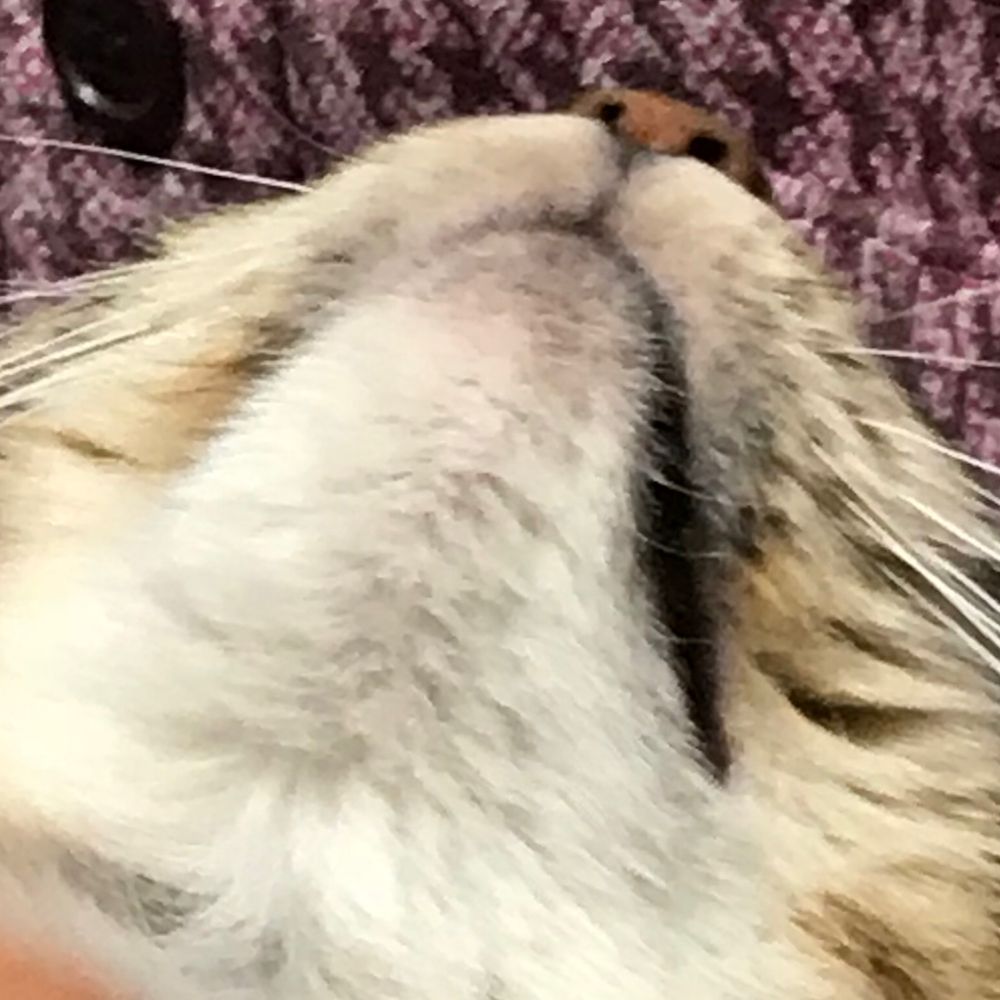 モノ