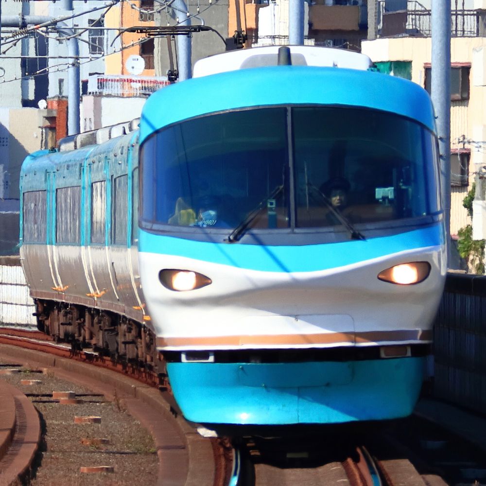 たーにゃん