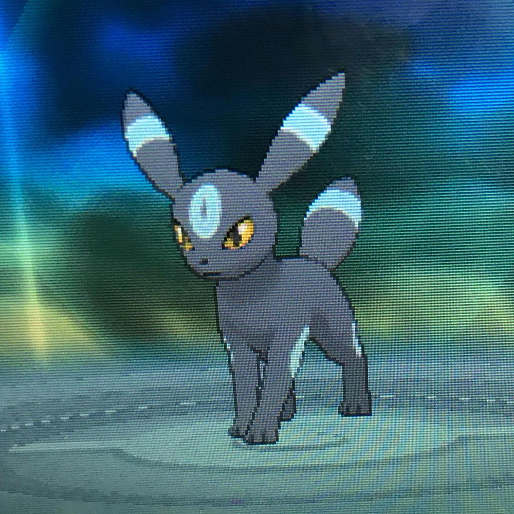 Morris🌙✨