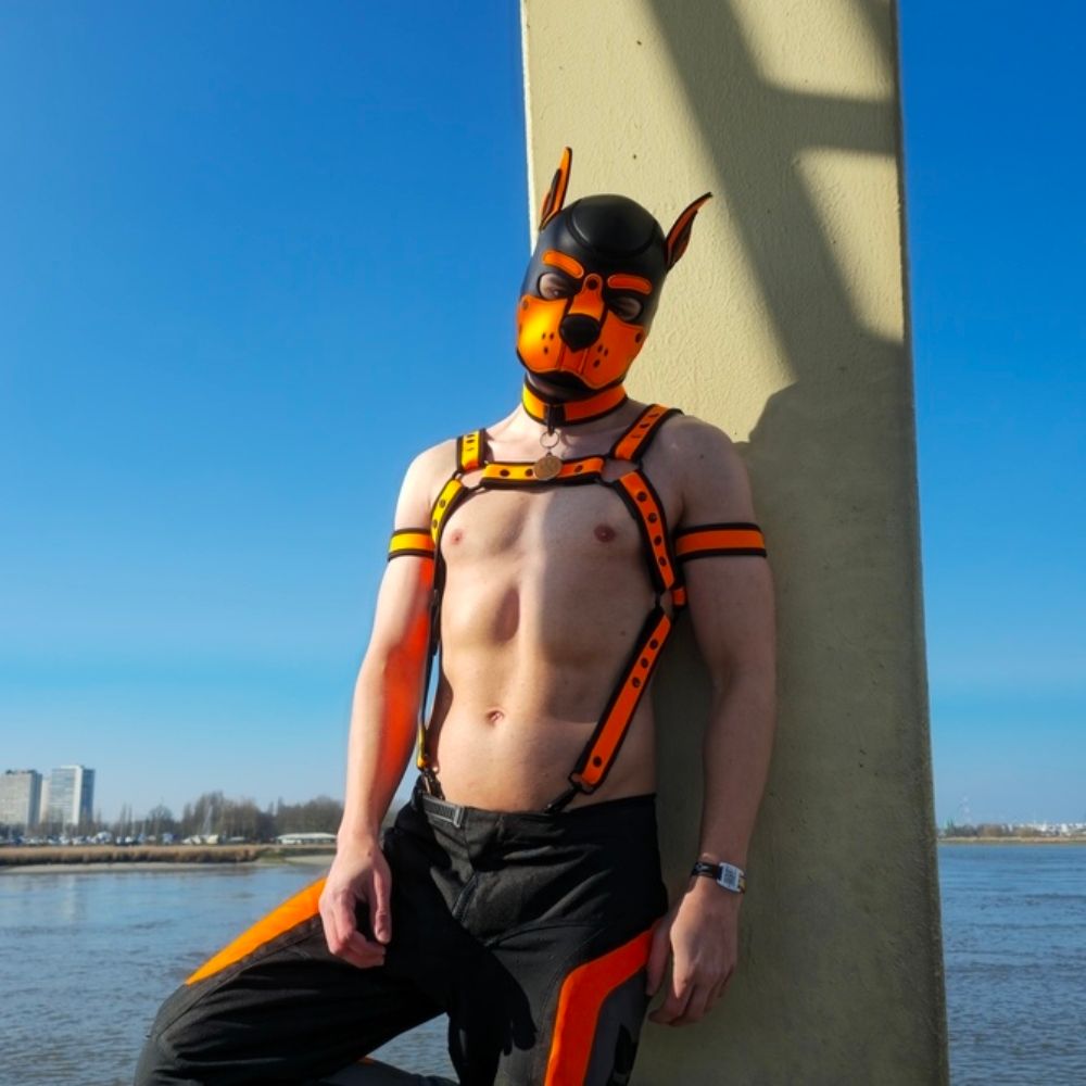 Pup Kenji