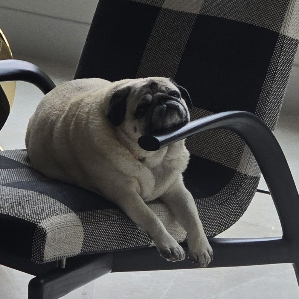 Basblob