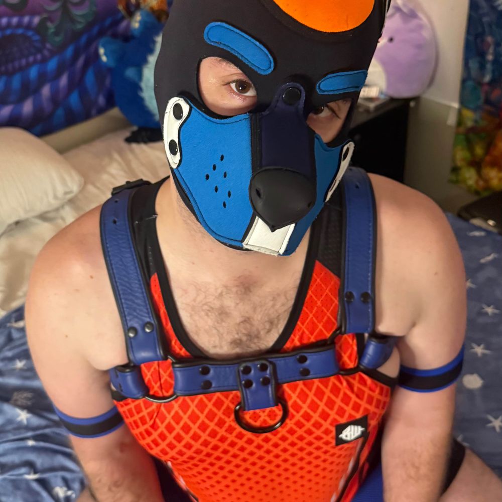 Carrot BunnyPup 🔜 FWA
