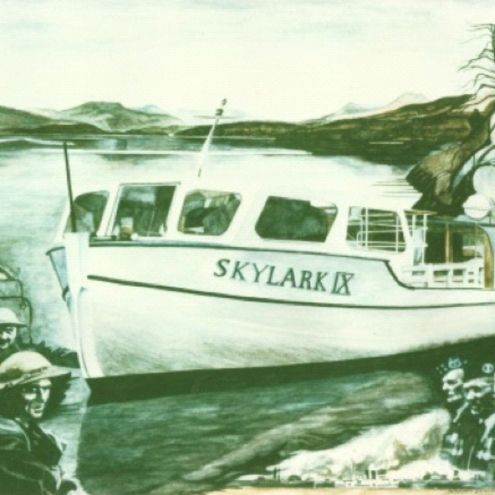 Skylark IX Recovery Trust