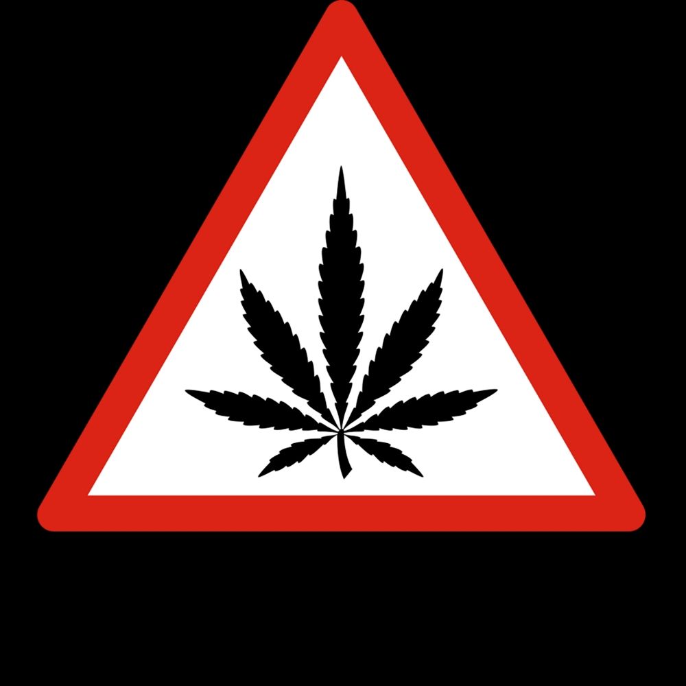 Nora's Weed Bot