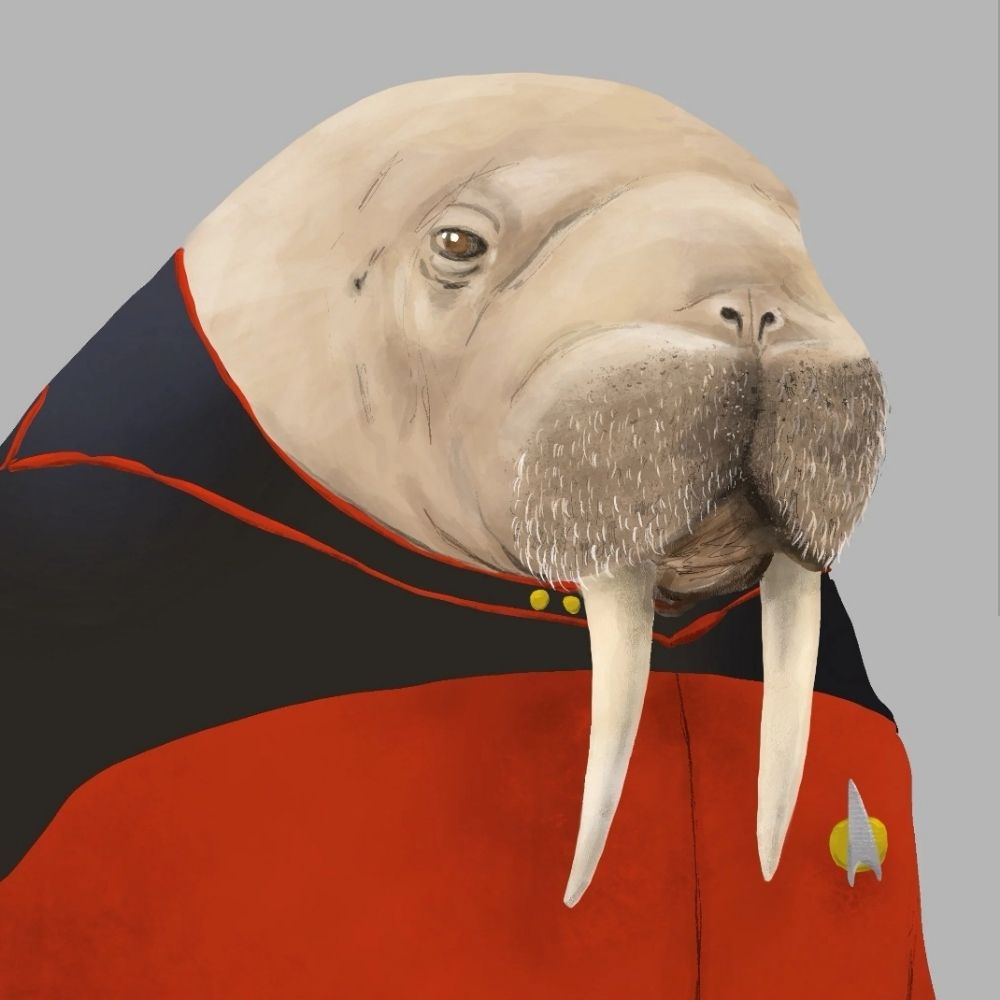 Odobenus