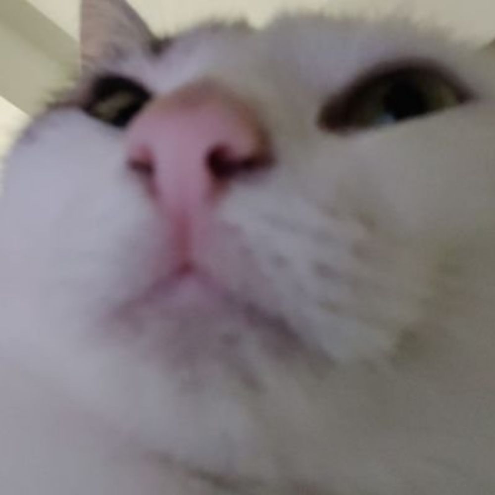 Lois