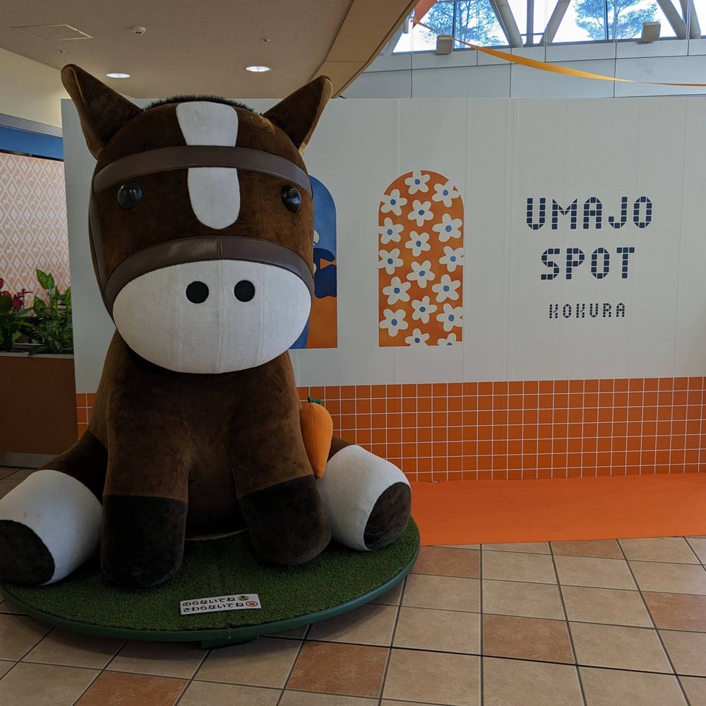 ゆこ
