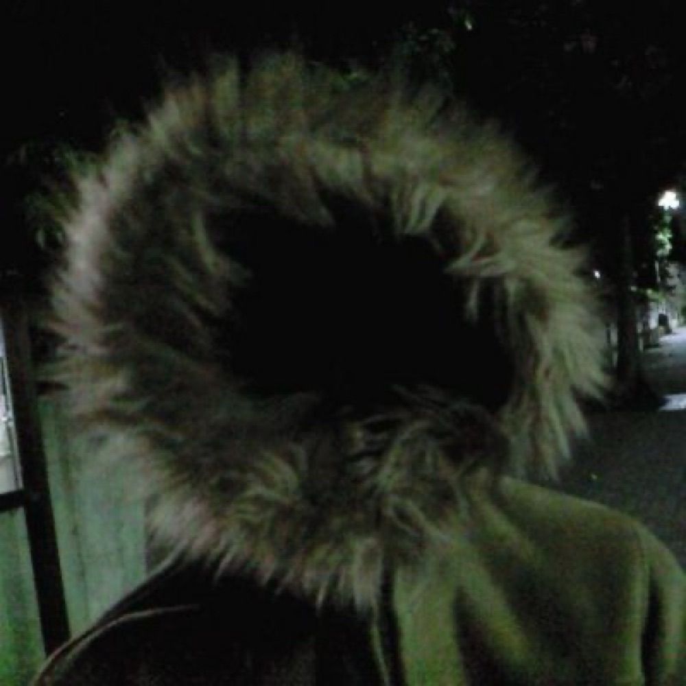 hachi
