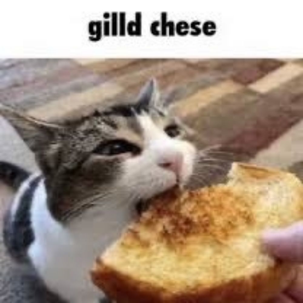 Heeeeee