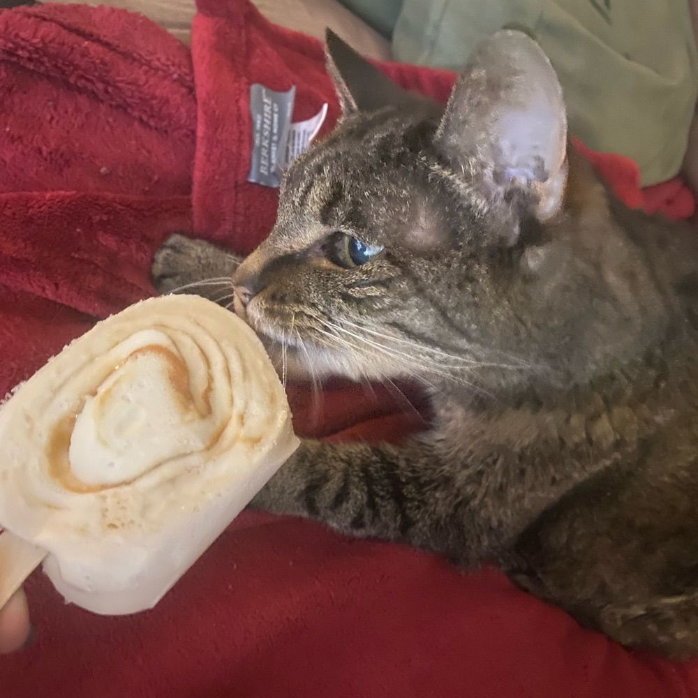FoundFamiliar