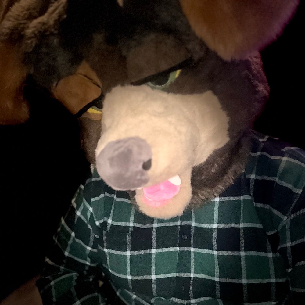That Bear Dogs AD 🔜 FD,MP
