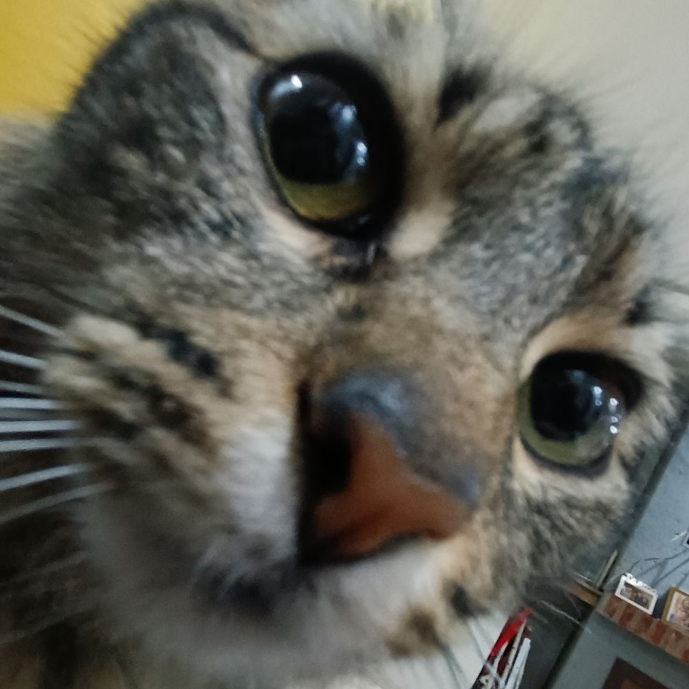 Bru ✷