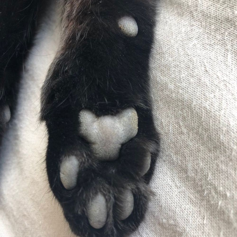 Al