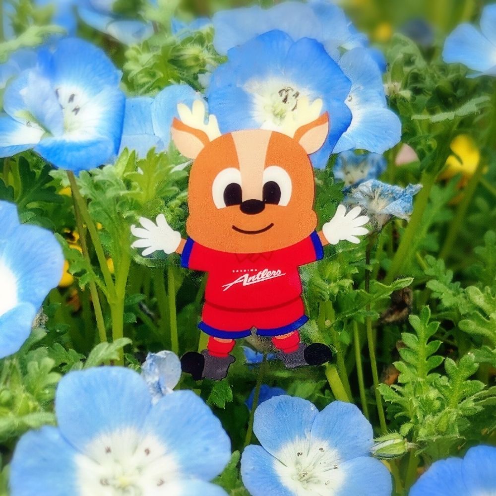 ゆち