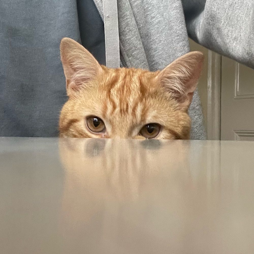 Martin