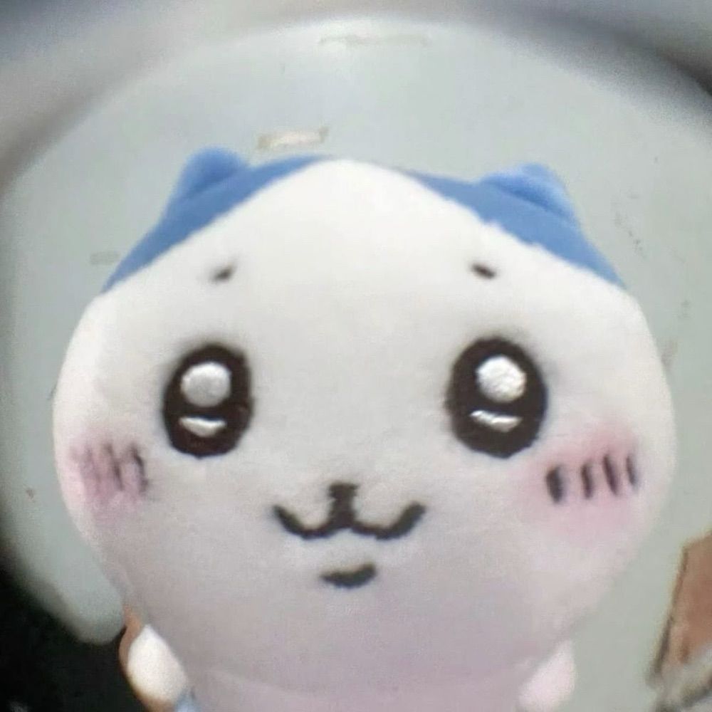 mae 