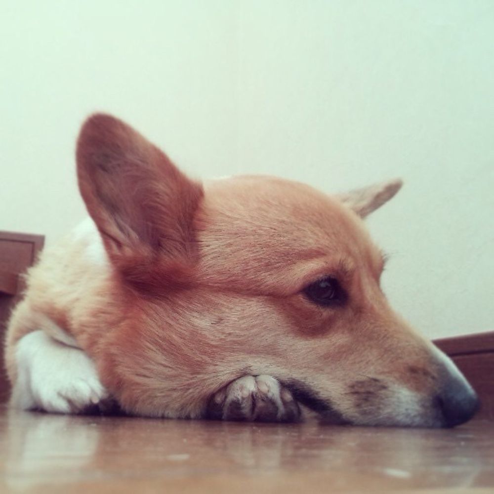 とべ
