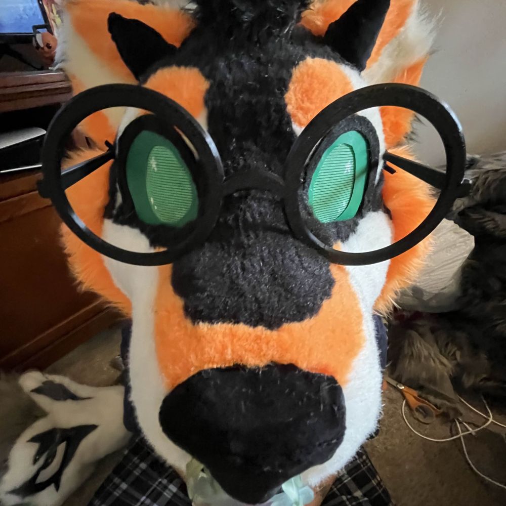 arris 🍏 🔜 furrydelphia