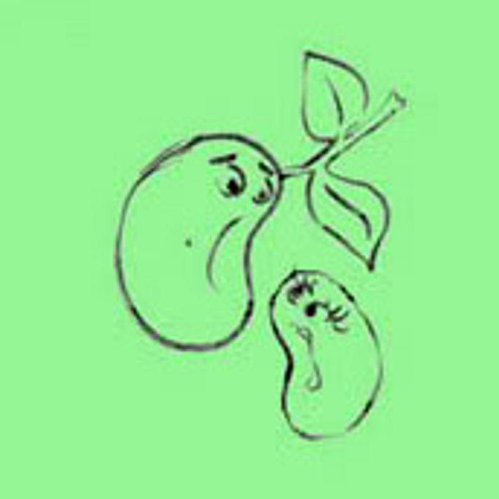 some beans music blog