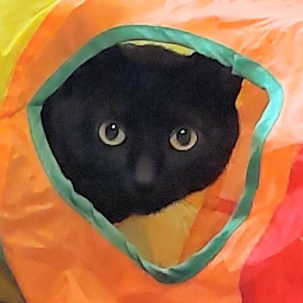 ねー🛸