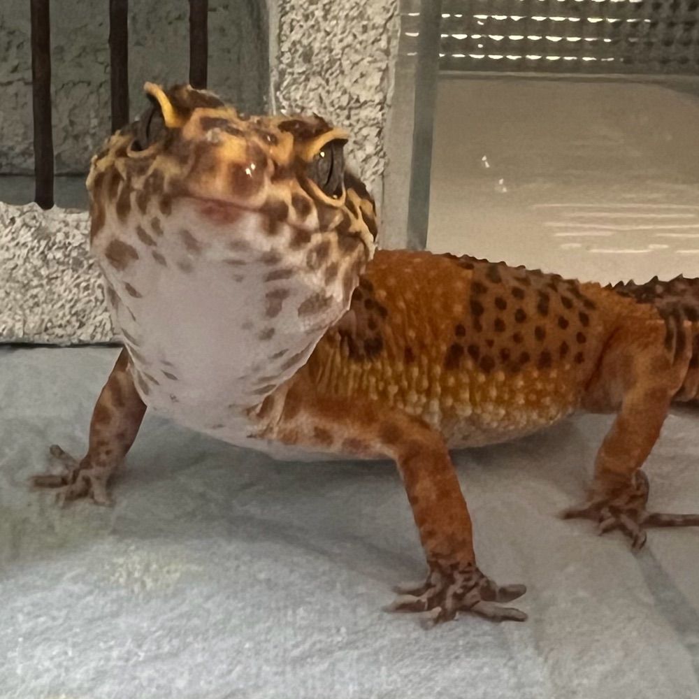 なぎさ