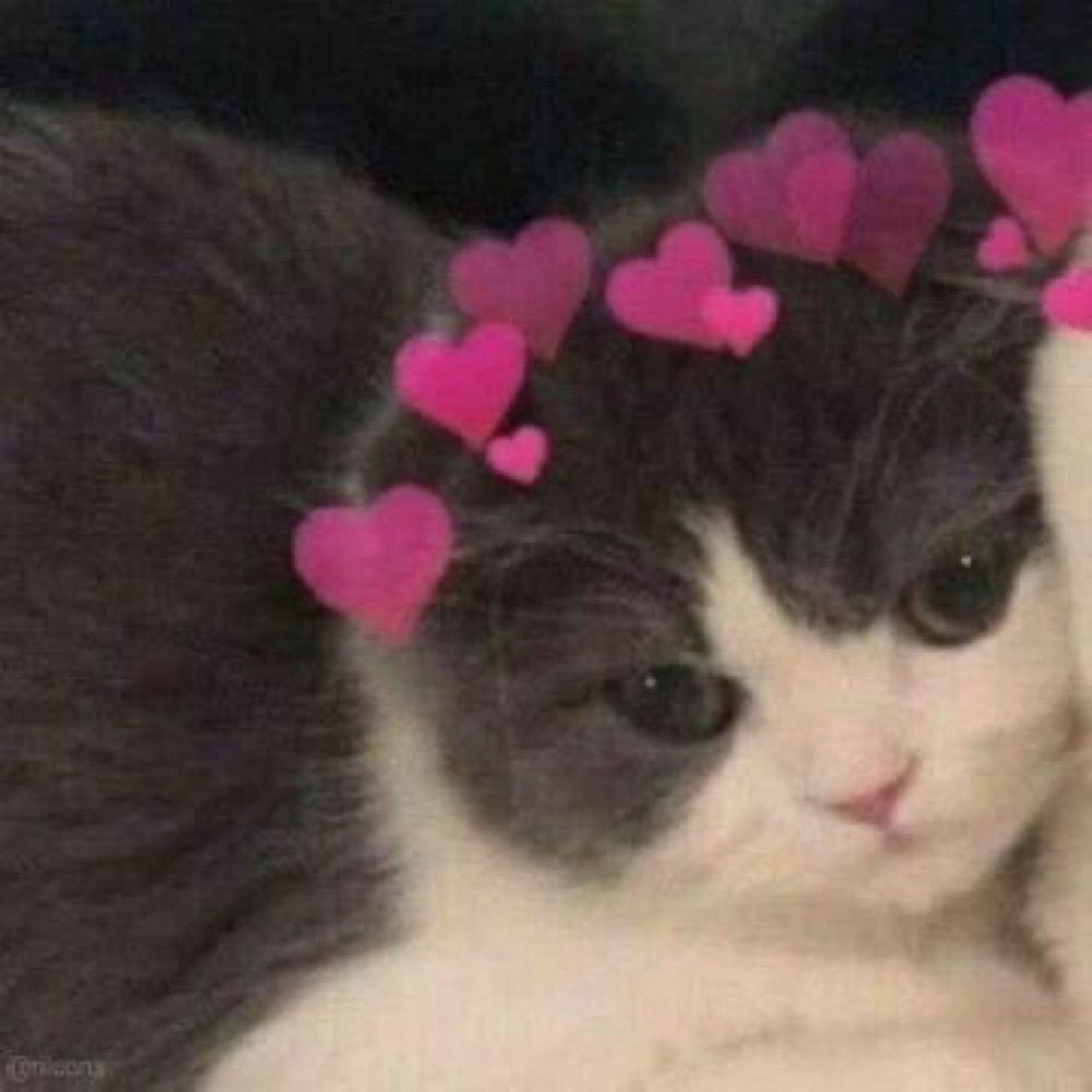 채 아 ❀