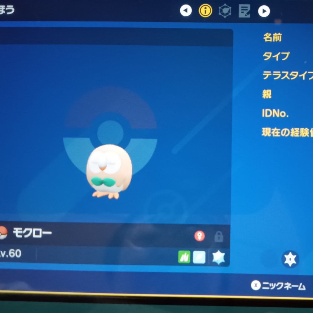 寒南東北人
