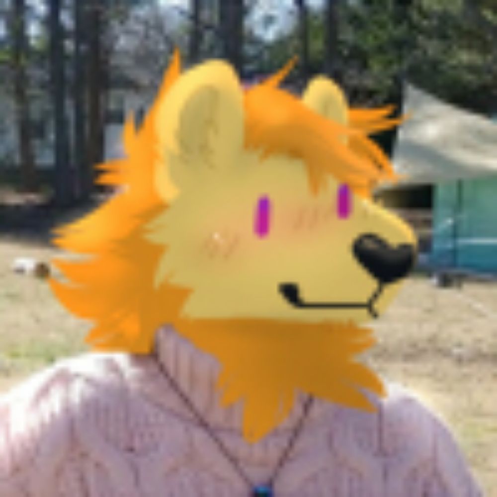 Sock